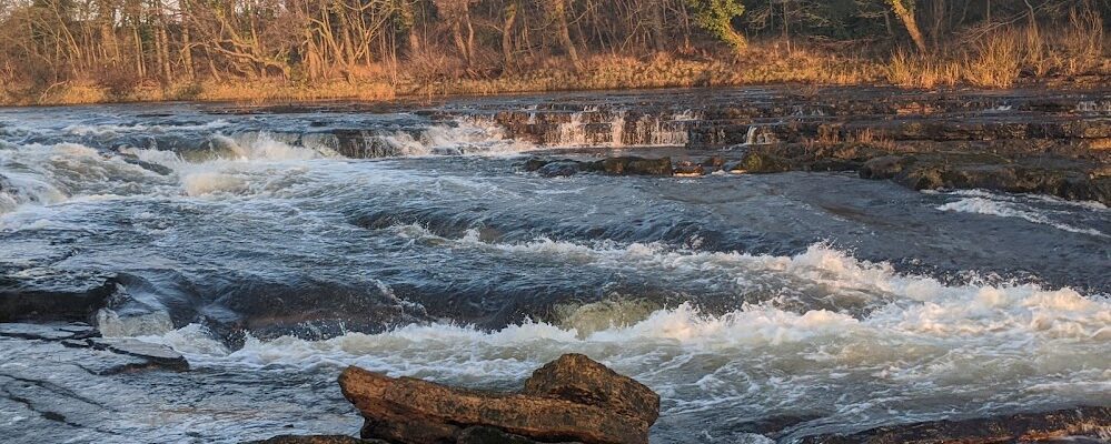Category: General New Years Paddle - Slenningford Watermill
